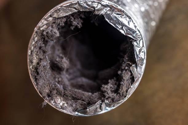 Best Affordable Duct Cleaning Services  in Emma, NC